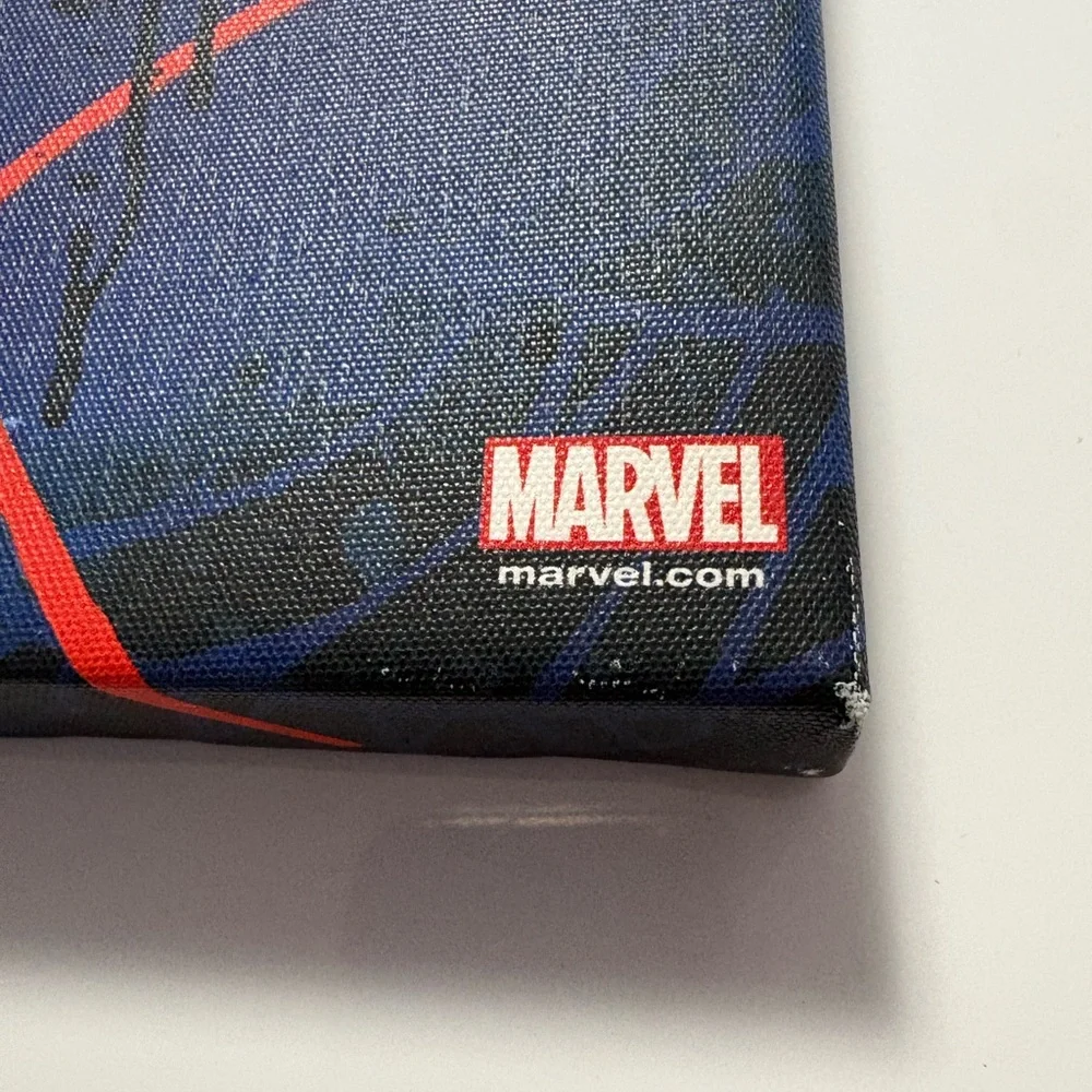 Marvel Spider-Man picture